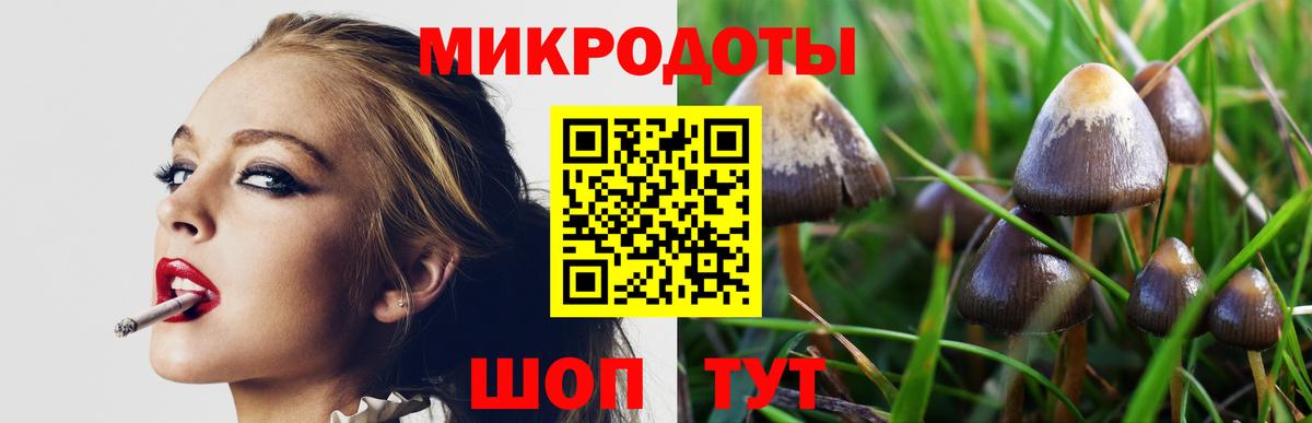Гусиноозёрск  Псилоцибиновые грибы мицелий  Вход с VPN  Галлюциногенные грибы мухоморы 